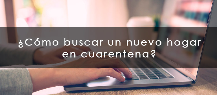 /blog/Noticias