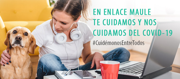 /blog/Noticias
